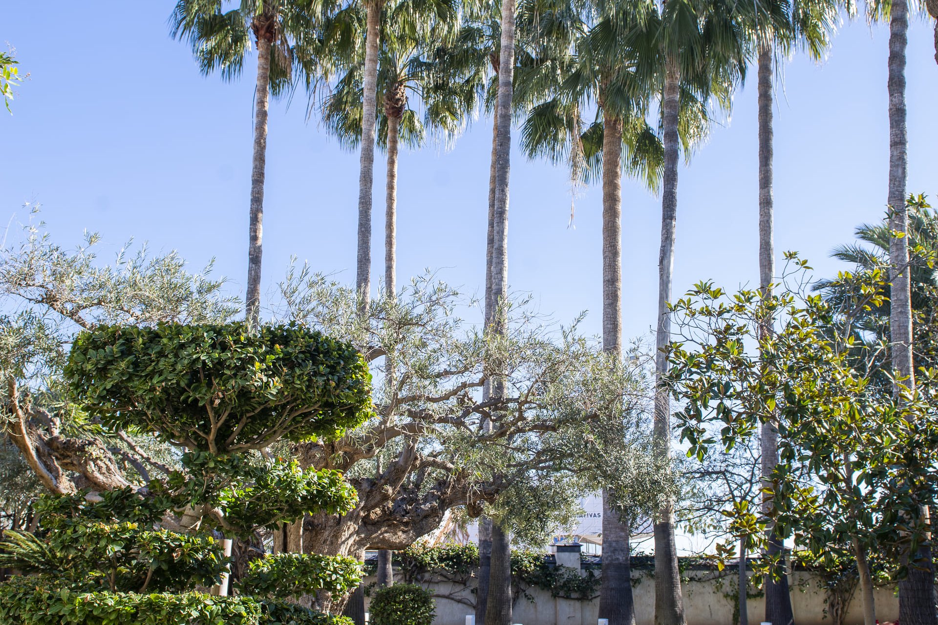 New Build - Detached House / Villa -
San Pedro del Pinatar - San Pedro Del Pinatar