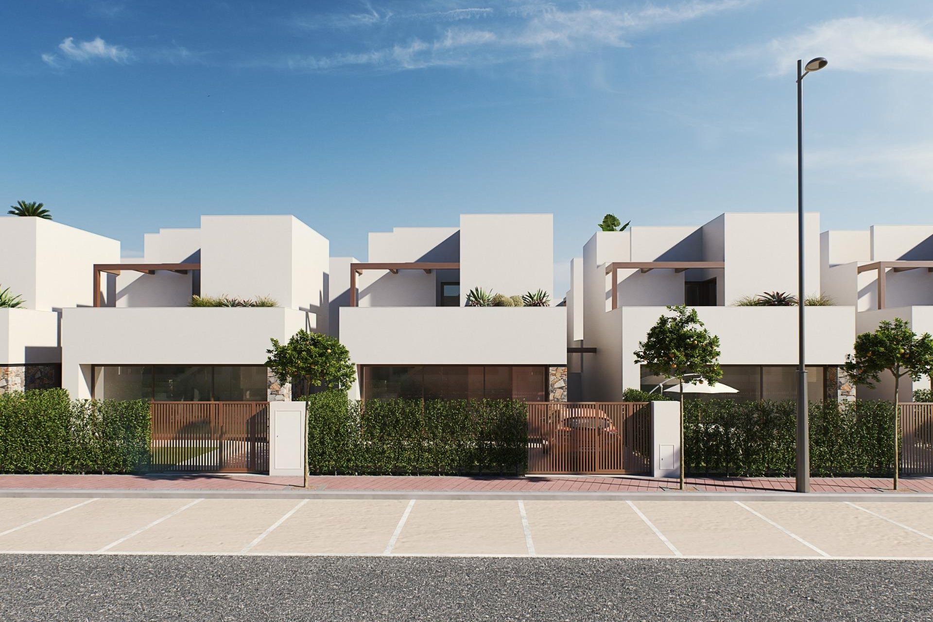 New Build - Detached House / Villa -
Torre Pacheco - Santa Rosalía