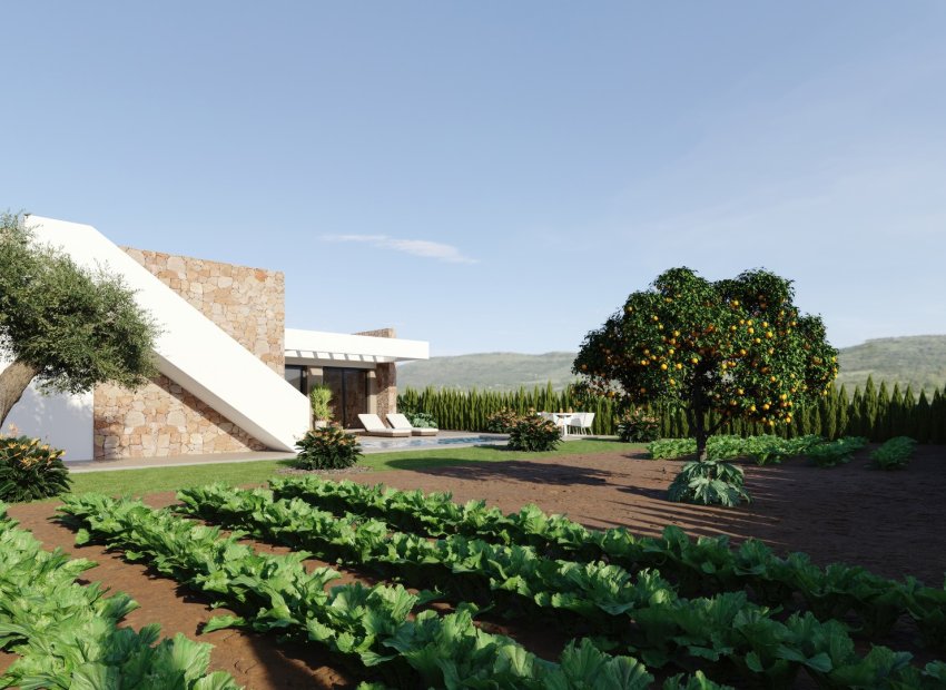 New Build - detached -
Murcia