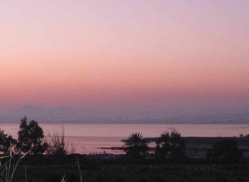 New Build - Ground-floor -
Guardamar del Segura - El Raso