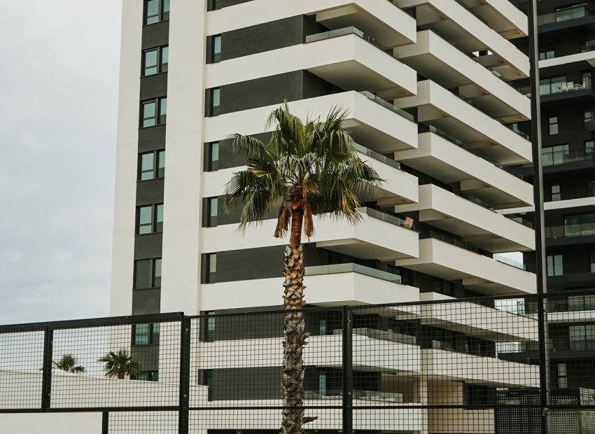 New Build - Penthouse -
Calpe