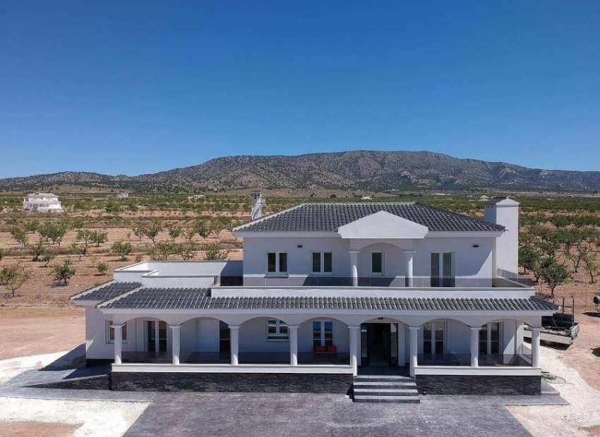 New Build - Villa -
Pinoso - Camino Del Prado