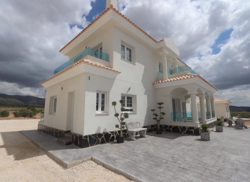 New Build - Villa -
Pinoso - Camino Del Prado