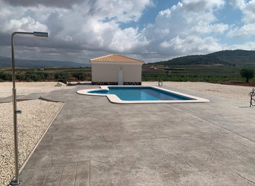 New Build - Villa -
Pinoso - Camino Del Prado