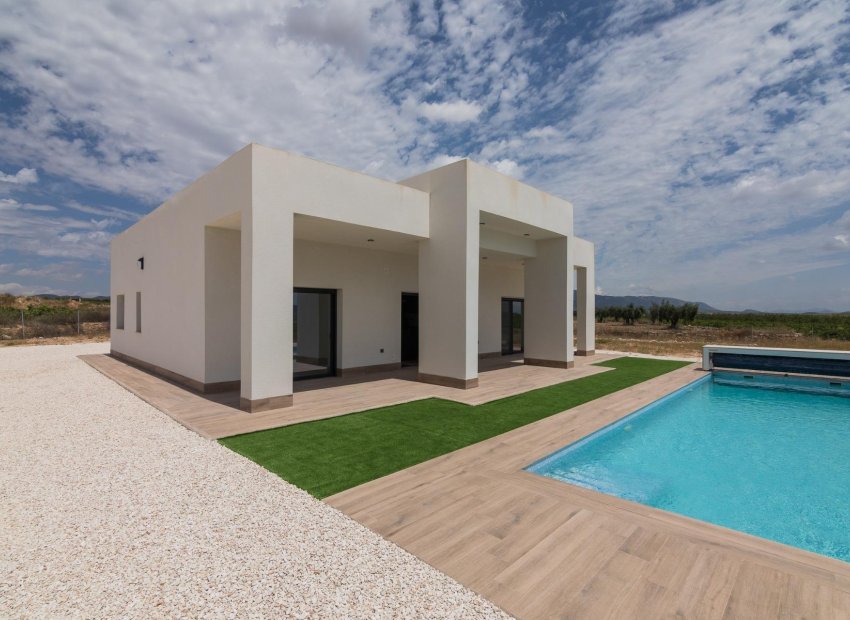 New Build - Villa -
Pinoso - Campo