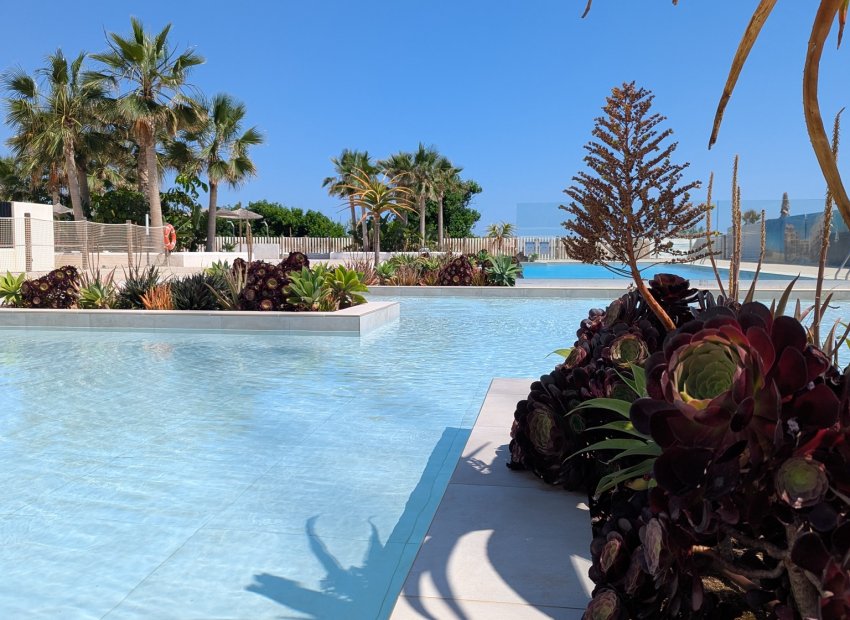 Nieuwbouw Woningen - Appartement -
Denia