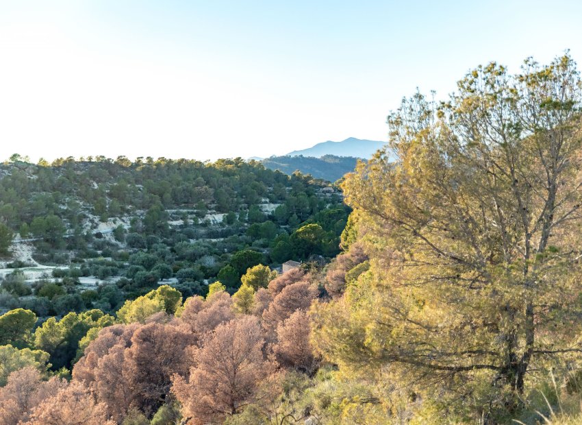 Nieuwbouw Woningen - Appartement -
Finestrat