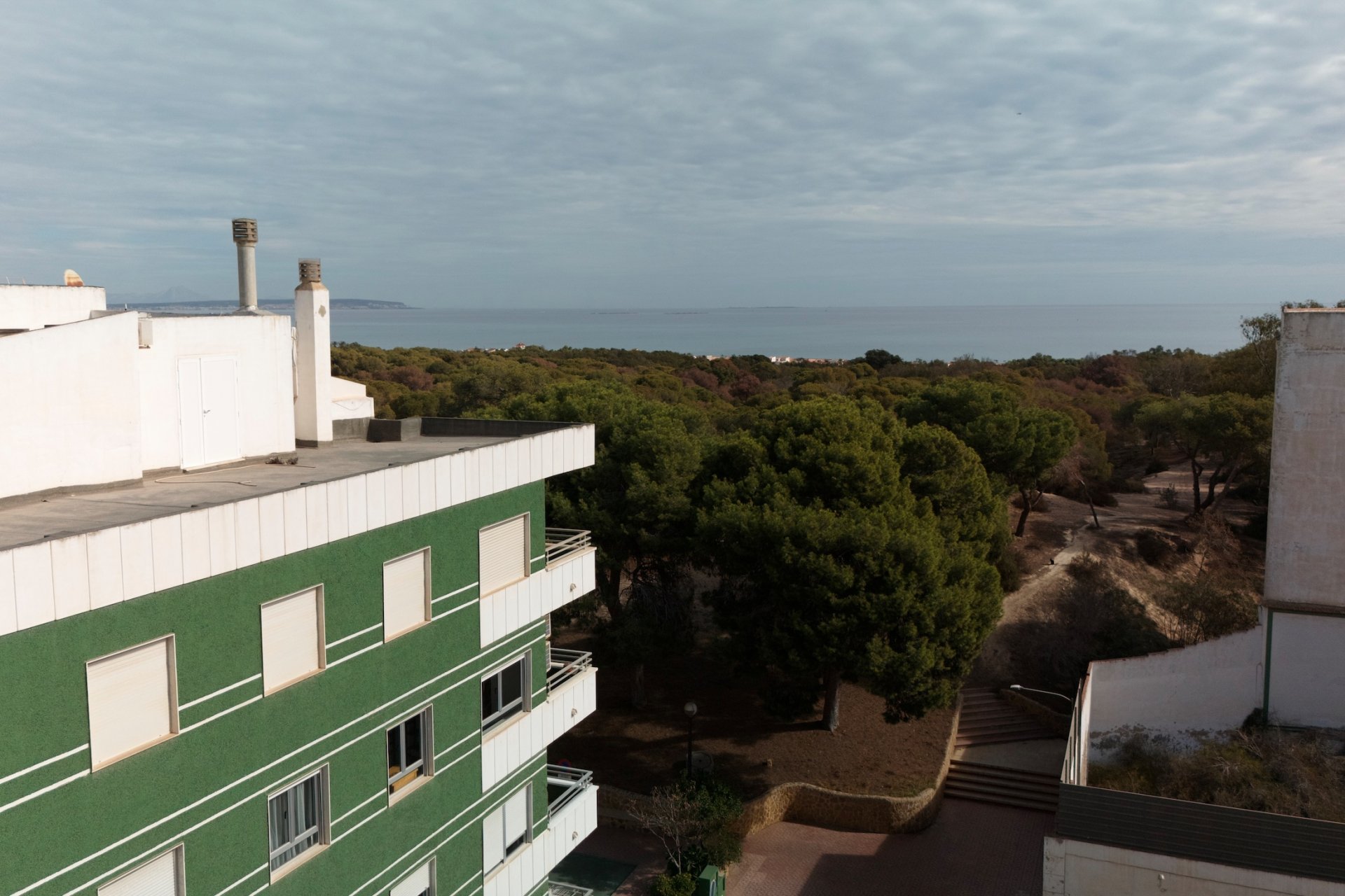 Nieuwbouw Woningen - Appartement -
Guardamar del Segura - Guardamar Del Segura