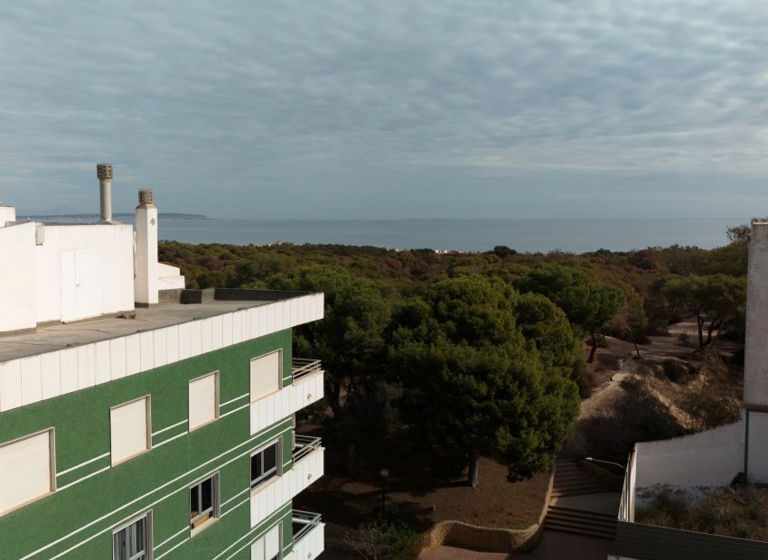 Nieuwbouw Woningen - Appartement -
Guardamar del Segura - Guardamar Del Segura