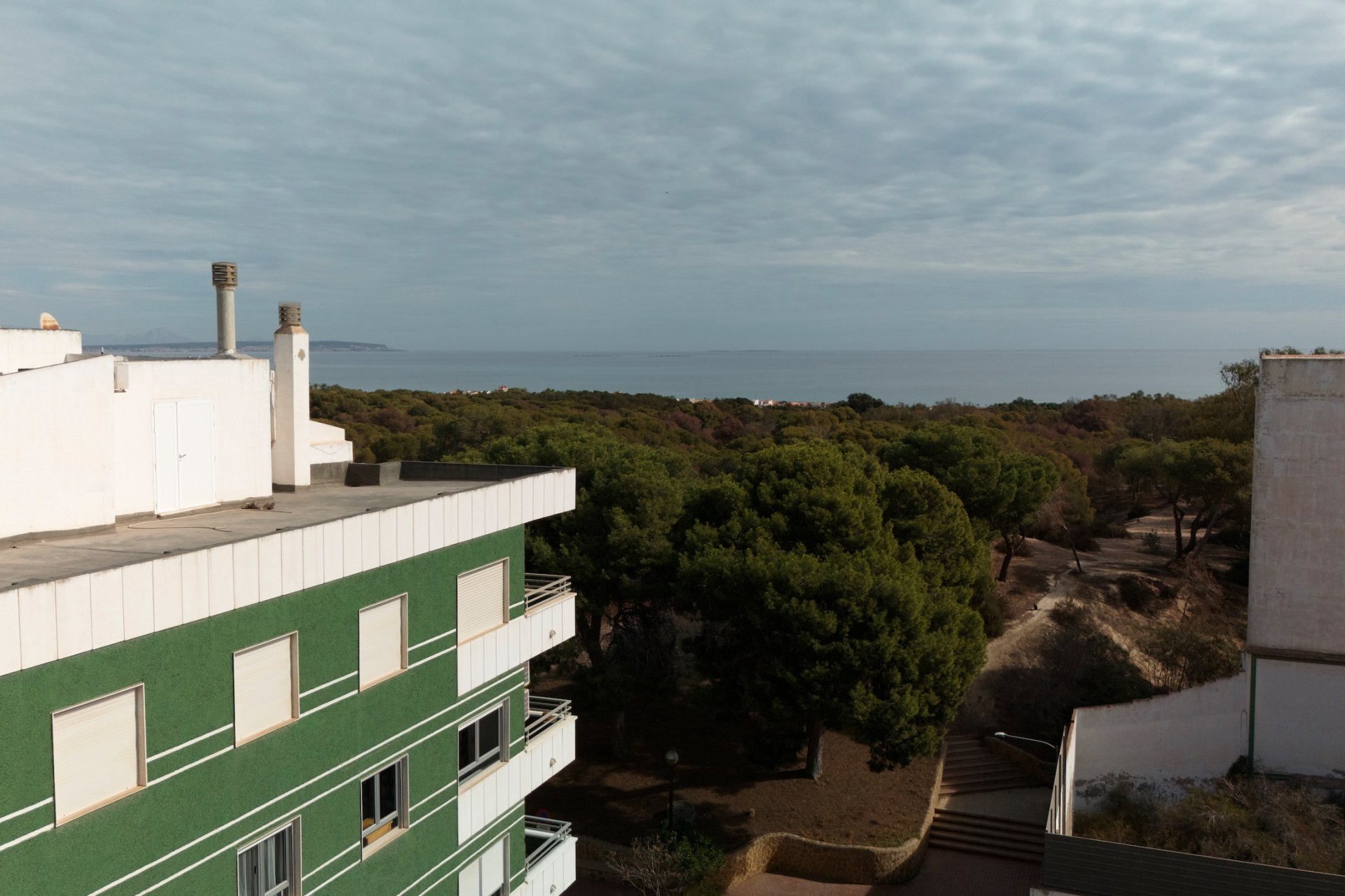 Nieuwbouw Woningen - Appartement -
Guardamar del Segura - Guardamar Del Segura