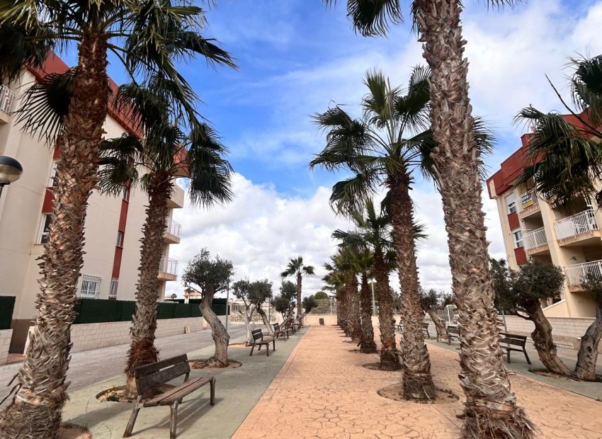 Nieuwbouw Woningen - Appartement -
Orihuela Costa