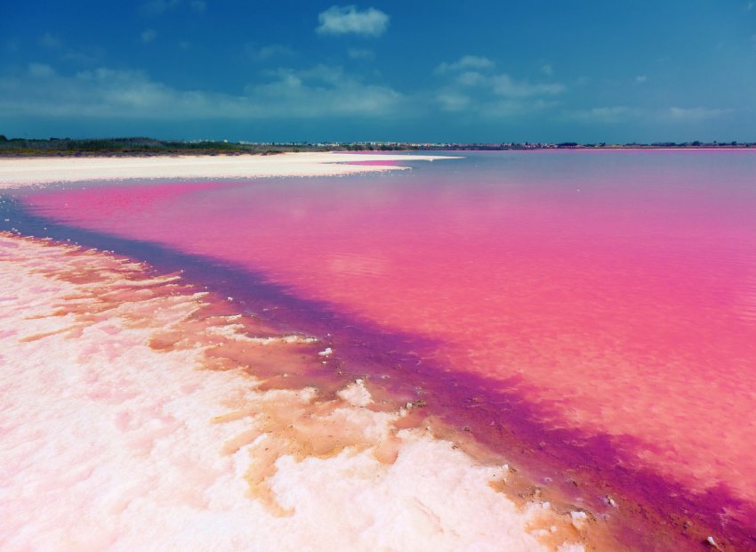 Nieuwbouw Woningen - Bungalow - Begane grond -
Torrevieja