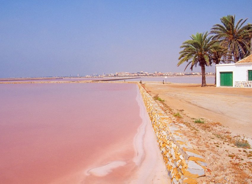 Nieuwbouw Woningen - Bungalow op verdieping -
San Pedro del Pinatar - San Pedro Del Pinatar