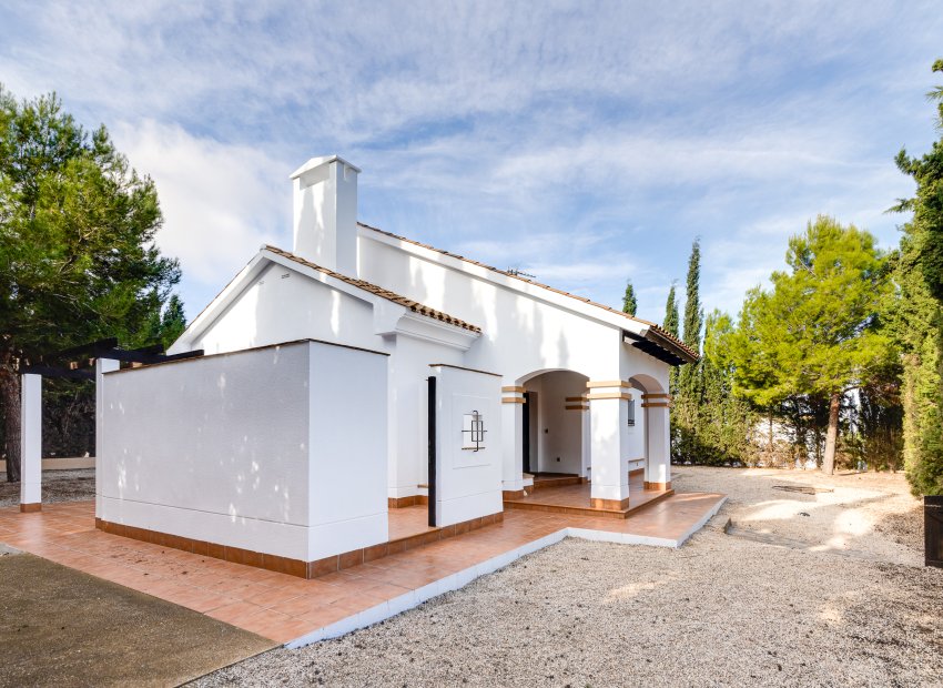 Nieuwbouw Woningen - detached -
Fuente Álamo - Fuente Alamo