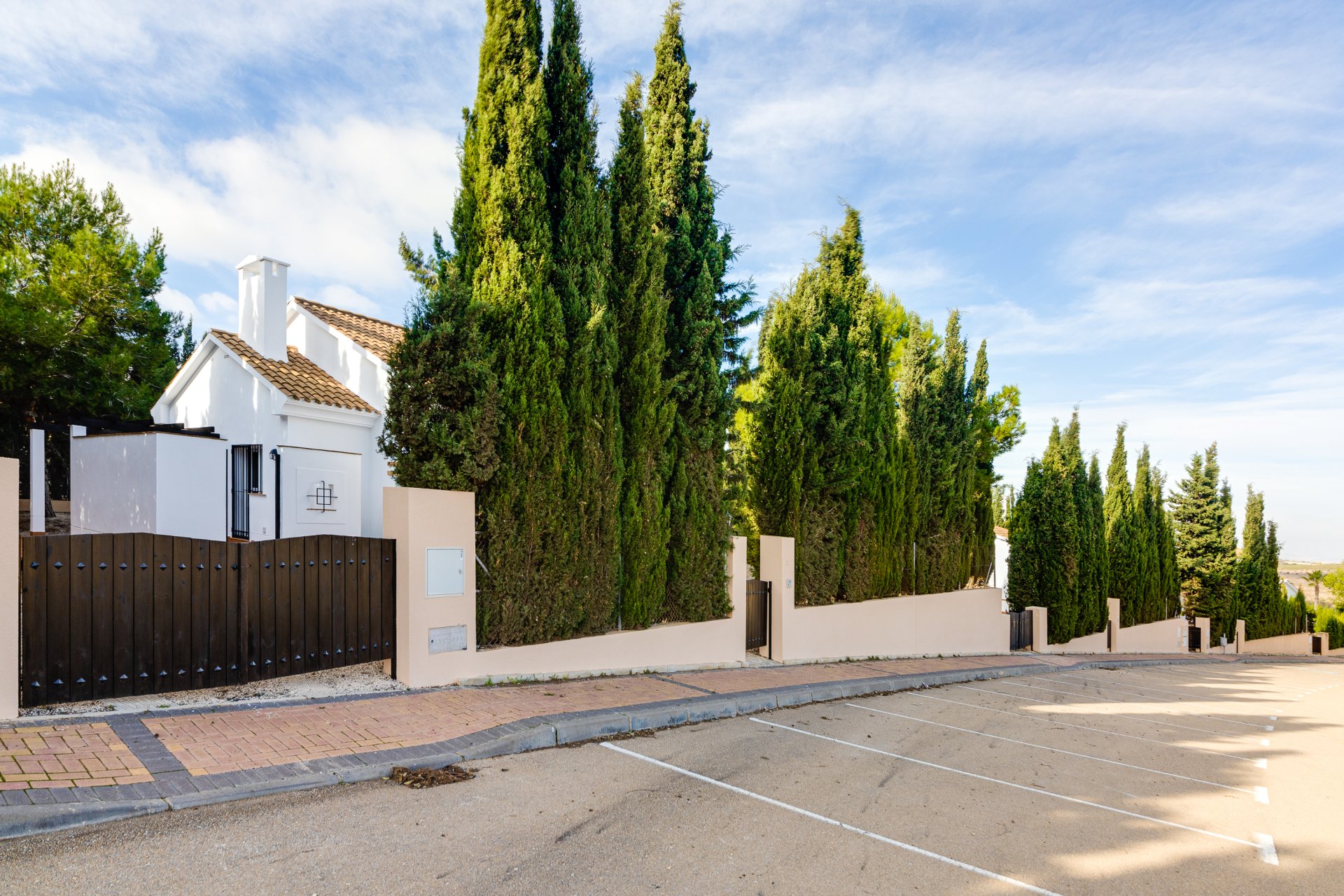 Nieuwbouw Woningen - detached -
Fuente Álamo - Fuente Alamo