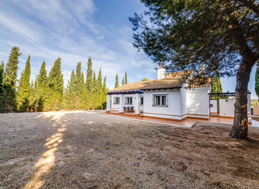 Nieuwbouw Woningen - detached -
Fuente Álamo - Fuente Alamo