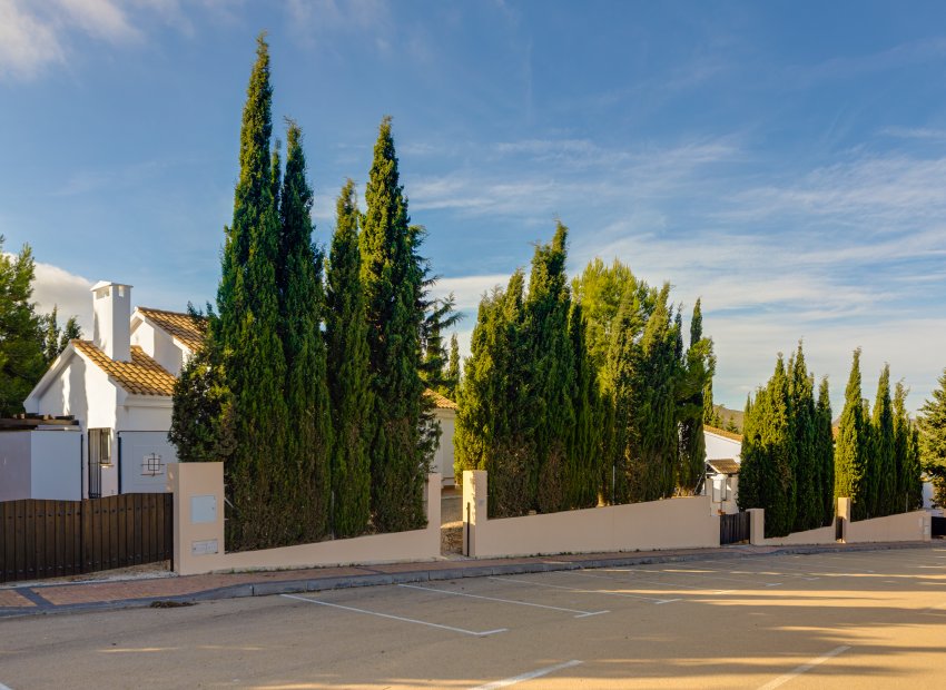 Nieuwbouw Woningen - detached -
Fuente Álamo - Fuente Alamo