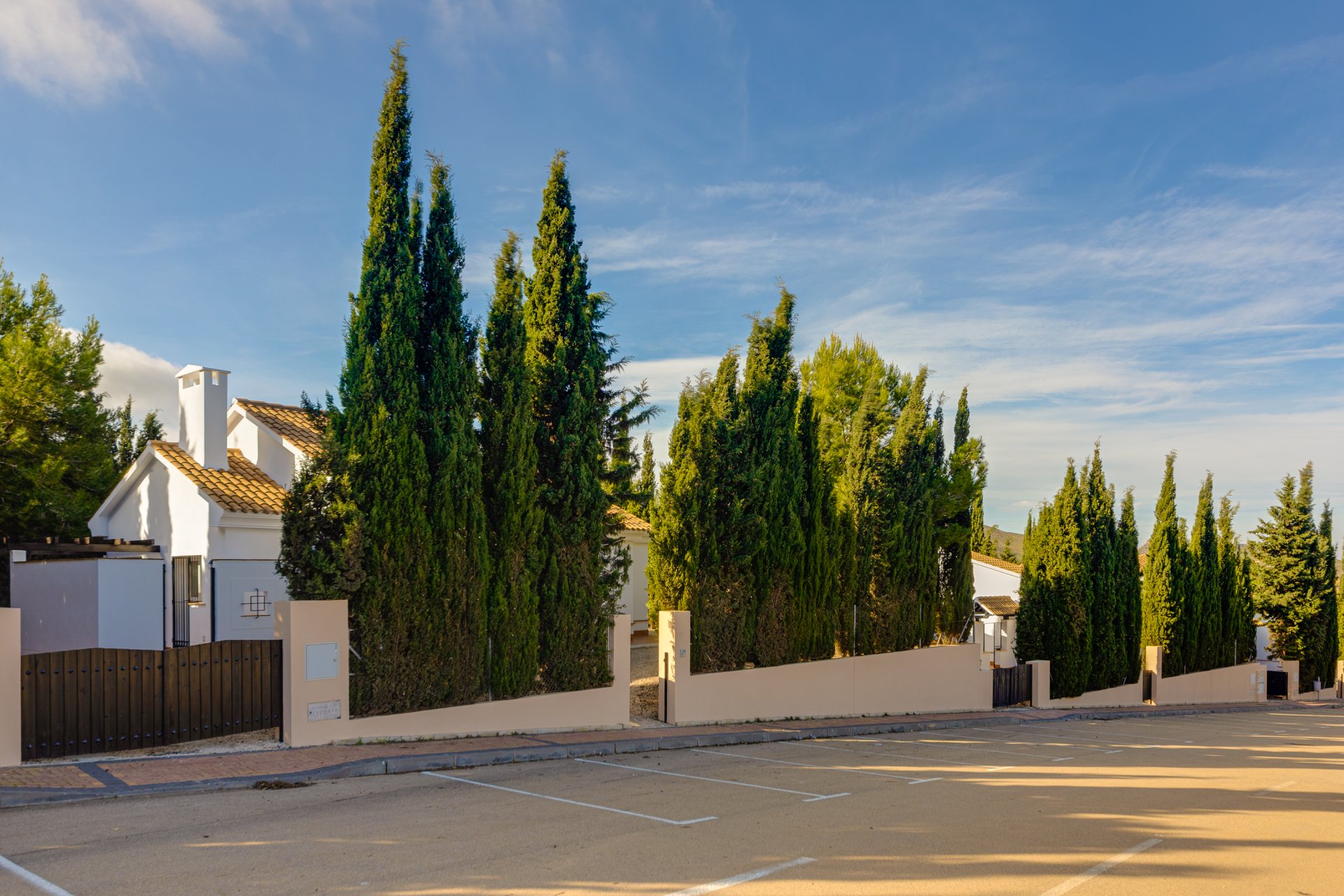 Nieuwbouw Woningen - detached -
Fuente Álamo - Fuente Alamo