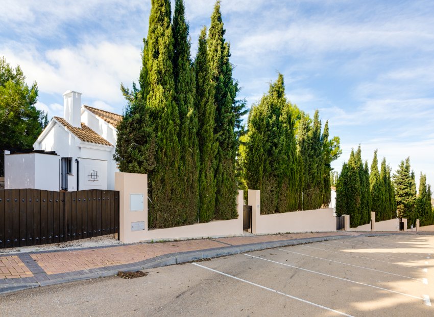 Nieuwbouw Woningen - detached -
Fuente Álamo - Fuente Alamo