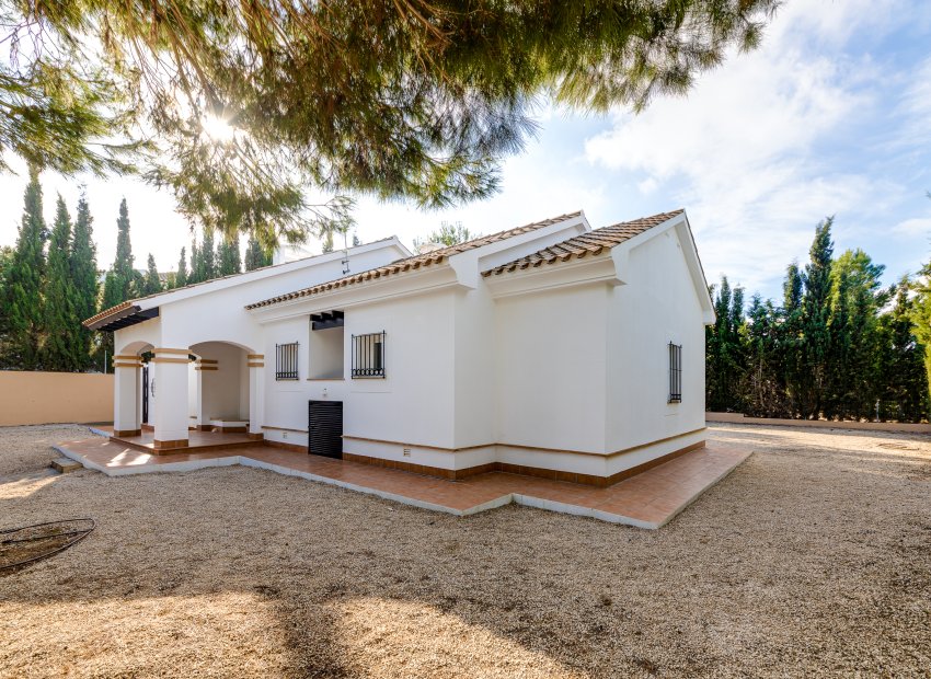 Nieuwbouw Woningen - detached -
Fuente Álamo - Fuente Alamo