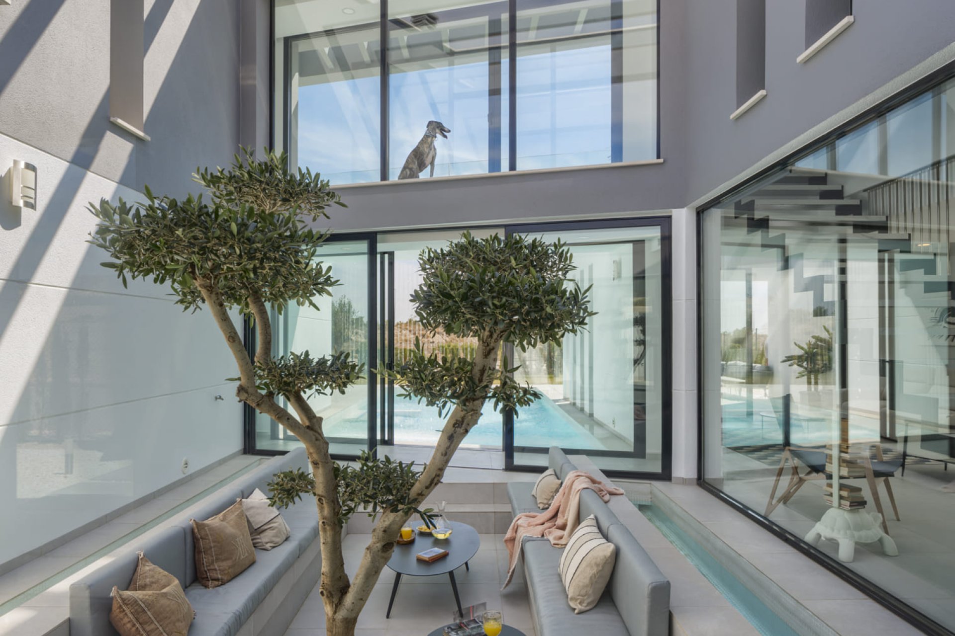 Nieuwbouw Woningen - detached -
Murcia