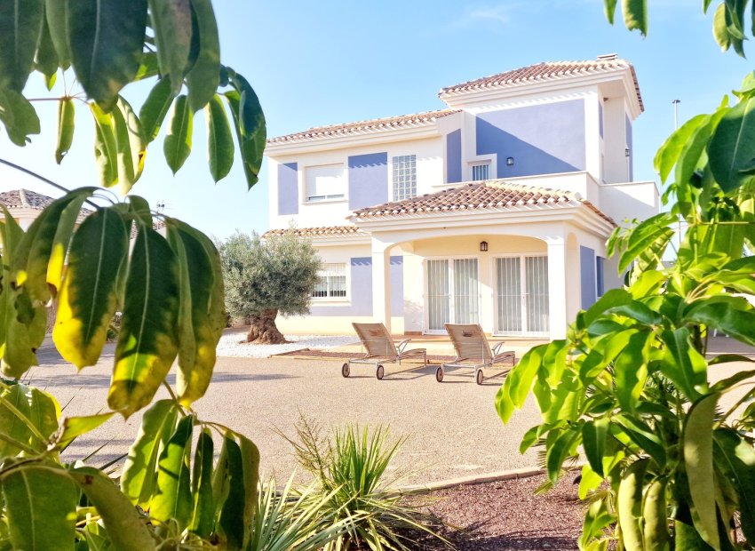 Nieuwbouw Woningen - detached -
Purias