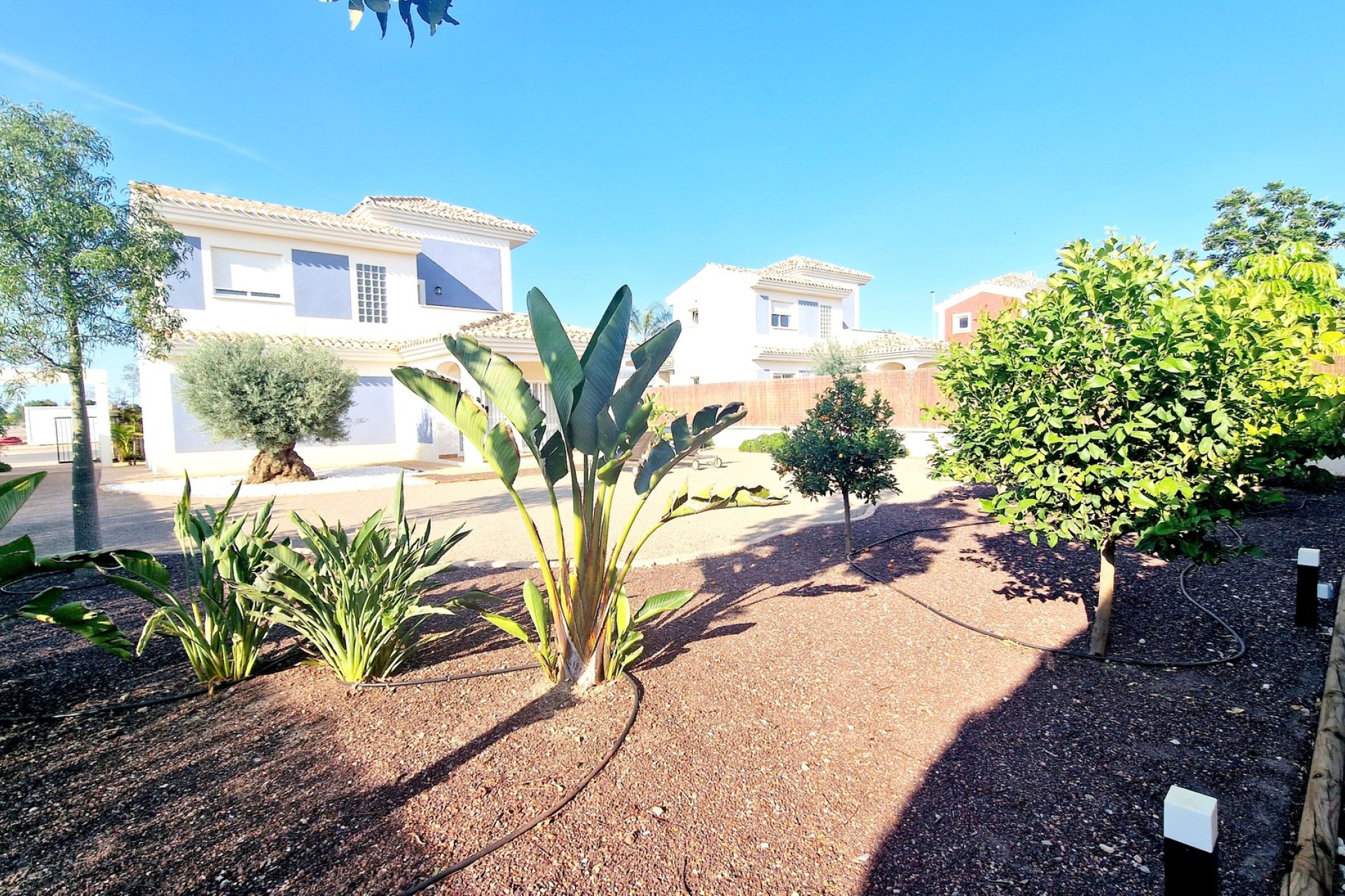 Nieuwbouw Woningen - detached -
Purias