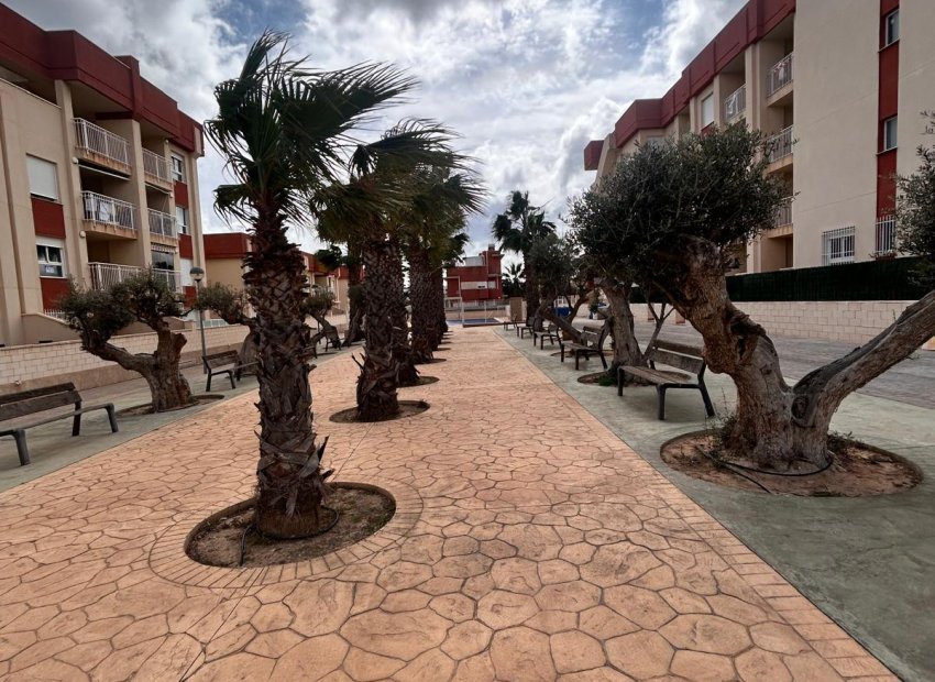 Nieuwbouw Woningen - ground-floor -
Orihuela Costa