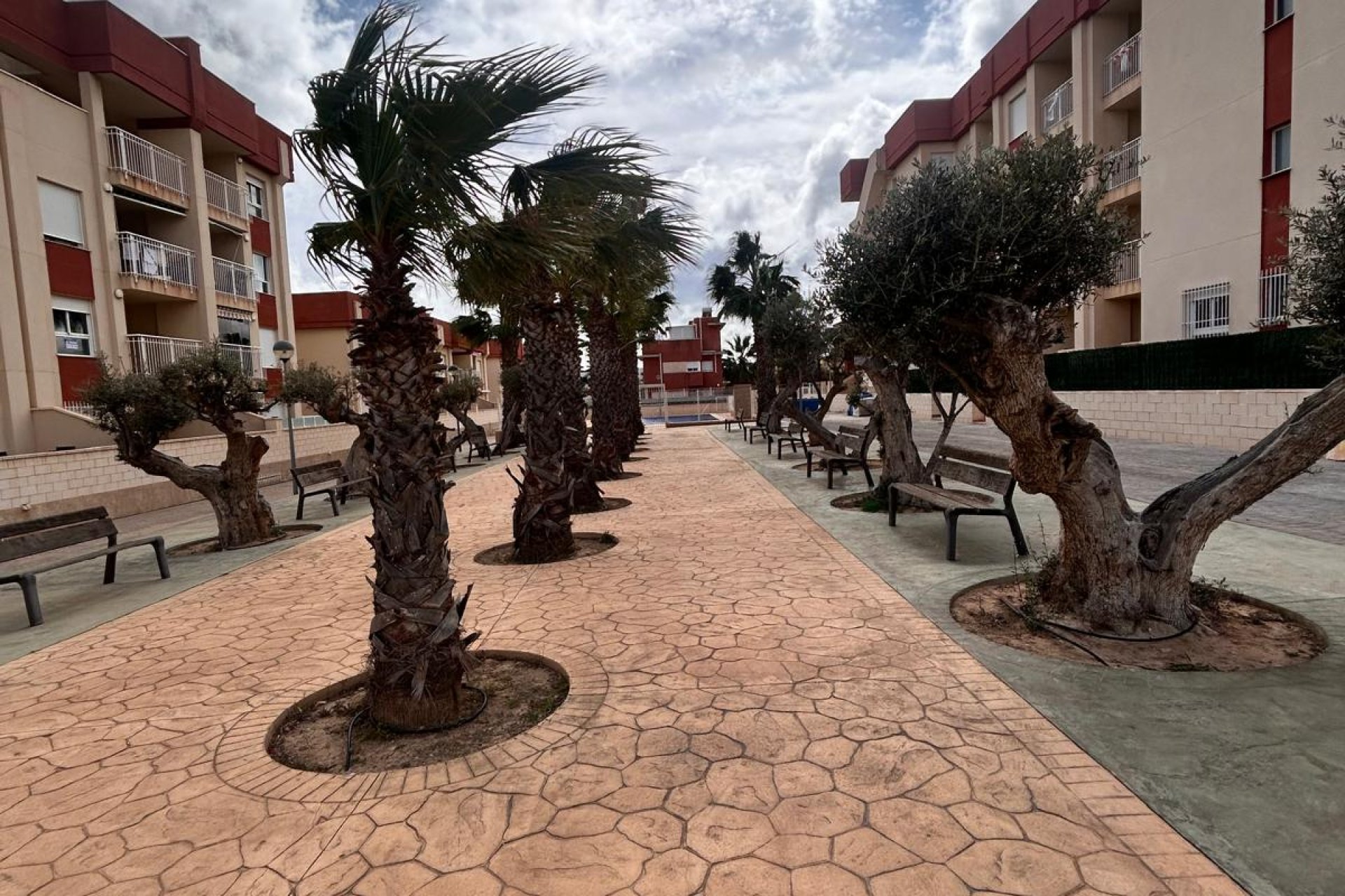Nieuwbouw Woningen - ground-floor -
Orihuela Costa