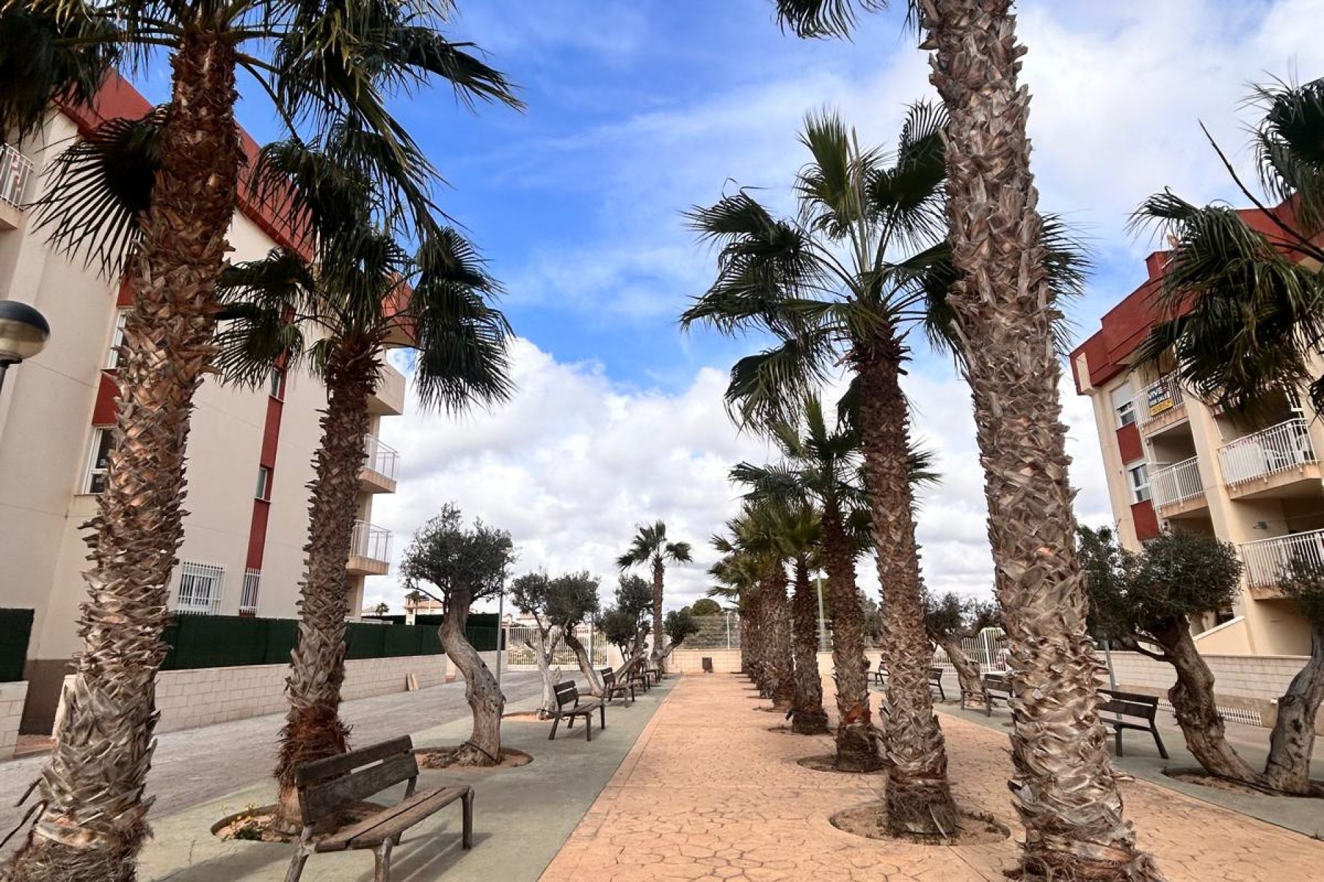 Nieuwbouw Woningen - ground-floor -
Orihuela Costa