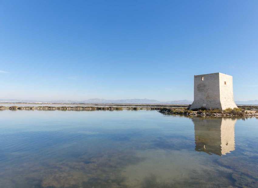 Nieuwbouw Woningen - Penthouse -
Santa Pola - Eroski