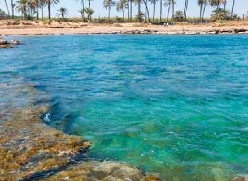 Nieuwbouw Woningen - Penthouse -
Torrevieja