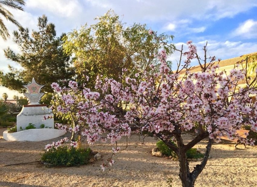 Nieuwbouw Woningen - Villa -
Los Urrutias - Estrella De Mar