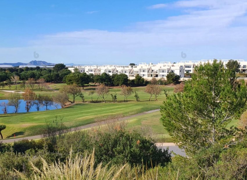 Nieuwbouw Woningen - Villa -
Pilar de la Horadada - Lo Romero Golf