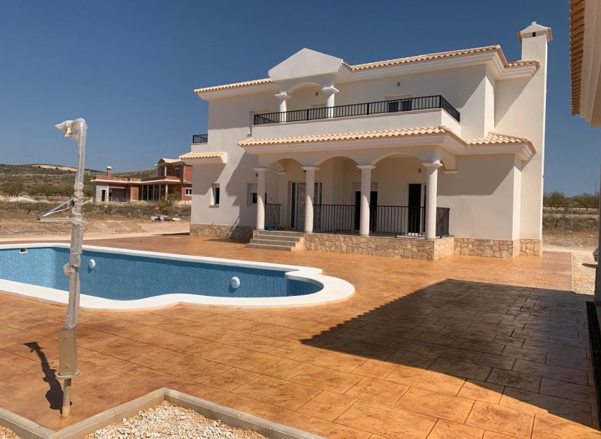 Nieuwbouw Woningen - Villa -
Pinoso - Camino Del Prado