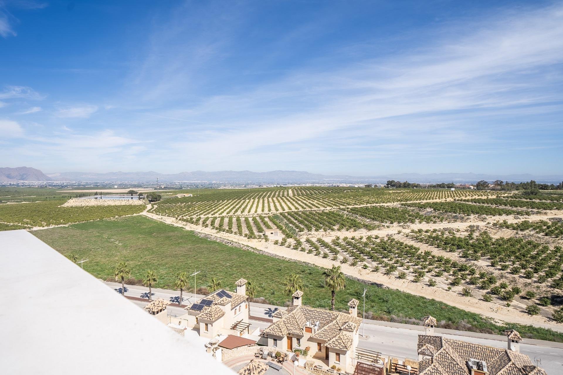 Nieuwbouw Woningen - Vrijstaande woning / Villa -
Algorfa - La Finca Golf