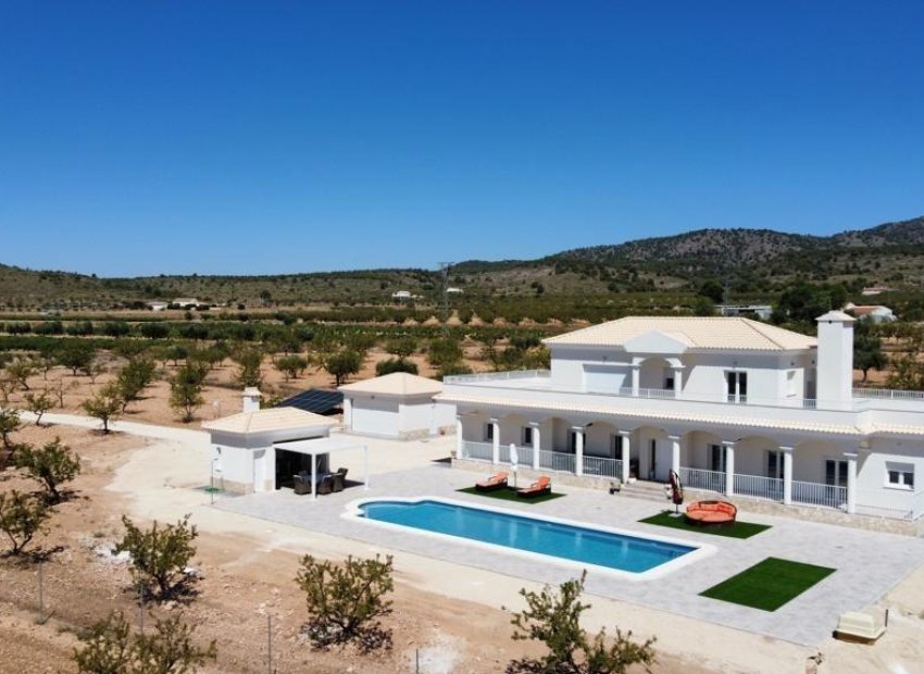 Nieuwbouw Woningen - Vrijstaande woning / Villa -
Pinoso - Camino Del Prado