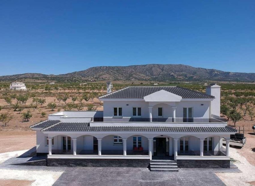 Nieuwbouw Woningen - Vrijstaande woning / Villa -
Pinoso - Camino Del Prado