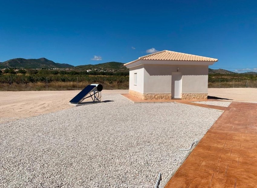 Nieuwbouw Woningen - Vrijstaande woning / Villa -
Pinoso - Camino Del Prado
