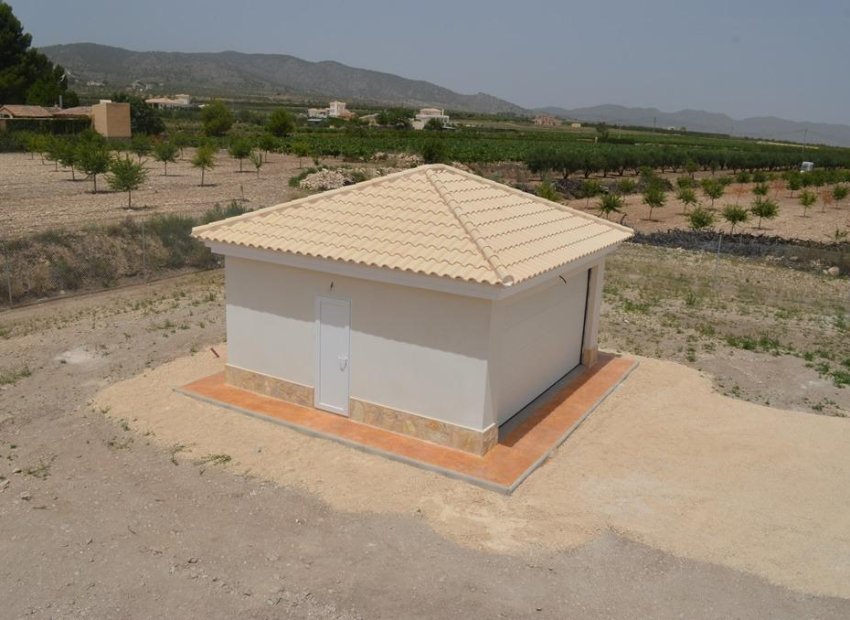 Nieuwbouw Woningen - Vrijstaande woning / Villa -
Pinoso - Camino Del Prado