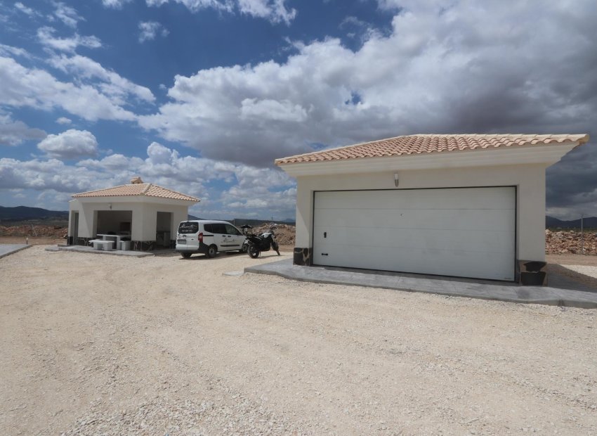 Nieuwbouw Woningen - Vrijstaande woning / Villa -
Pinoso - Camino Del Prado