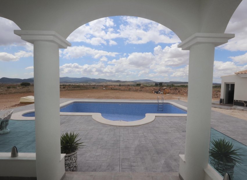 Nieuwbouw Woningen - Vrijstaande woning / Villa -
Pinoso - Camino Del Prado