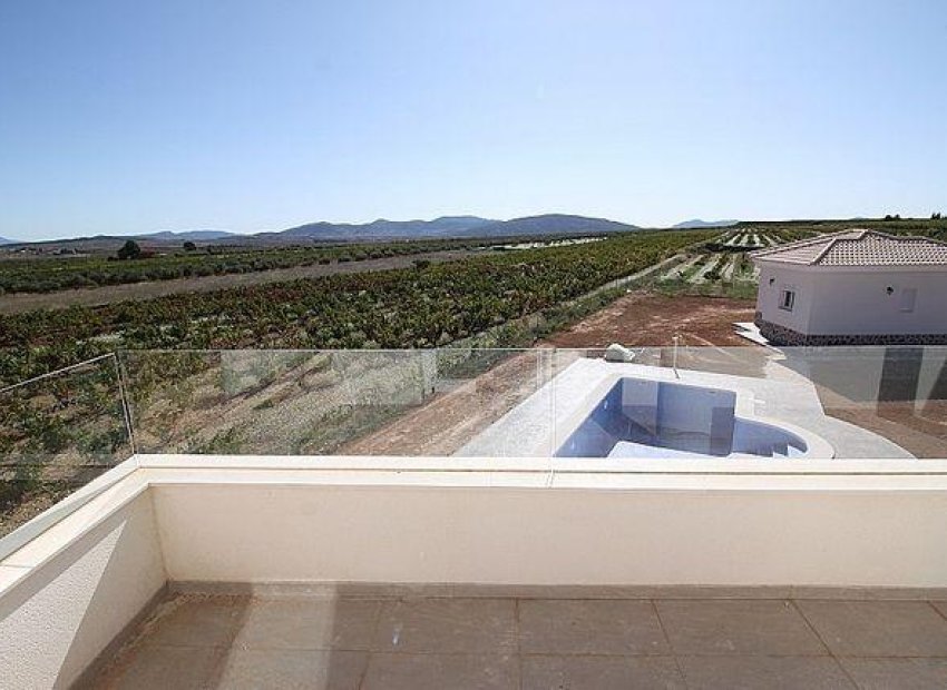 Nieuwbouw Woningen - Vrijstaande woning / Villa -
Pinoso - Camino Del Prado