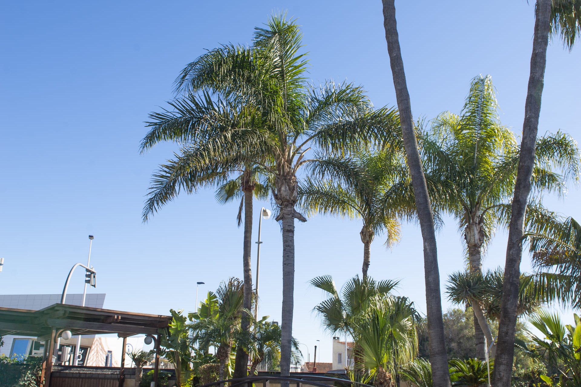 Nieuwbouw Woningen - Vrijstaande woning / Villa -
San Pedro del Pinatar - San Pedro Del Pinatar