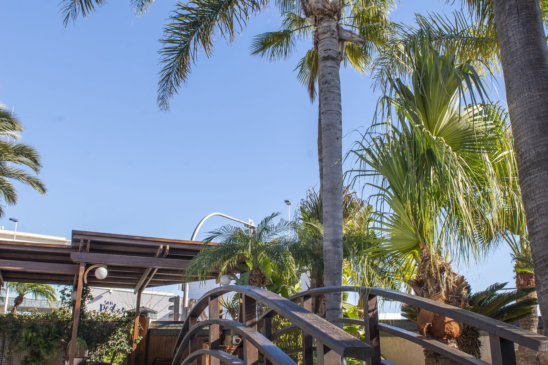 Nieuwbouw Woningen - Vrijstaande woning / Villa -
San Pedro del Pinatar - San Pedro Del Pinatar