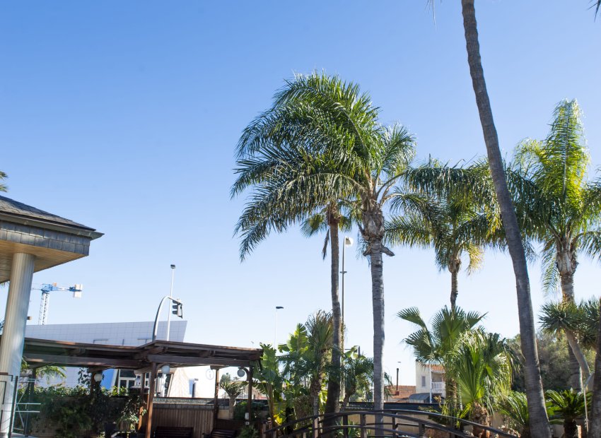 Nieuwbouw Woningen - Vrijstaande woning / Villa -
San Pedro del Pinatar - San Pedro Del Pinatar