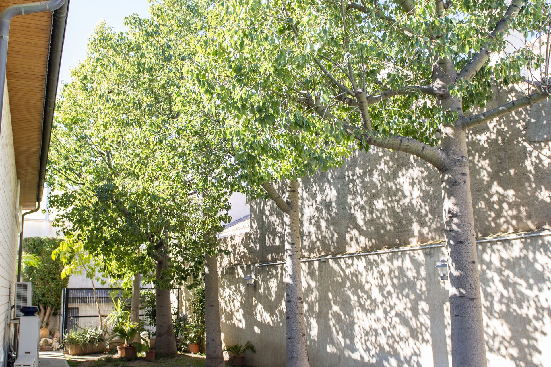 Nieuwbouw Woningen - Vrijstaande woning / Villa -
San Pedro del Pinatar - San Pedro Del Pinatar