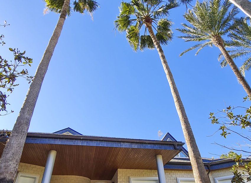 Nieuwbouw Woningen - Vrijstaande woning / Villa -
San Pedro del Pinatar - San Pedro Del Pinatar