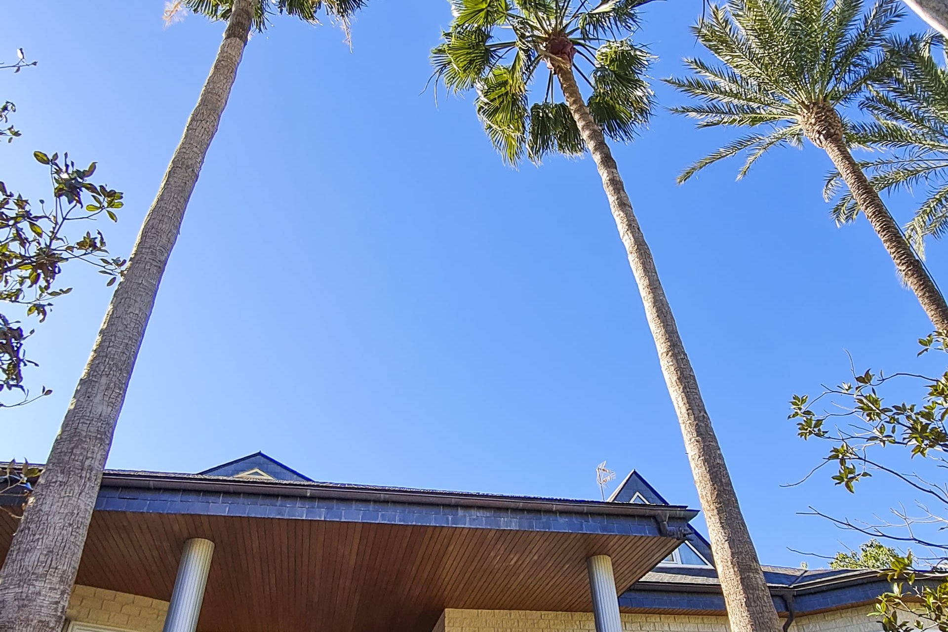 Nieuwbouw Woningen - Vrijstaande woning / Villa -
San Pedro del Pinatar - San Pedro Del Pinatar