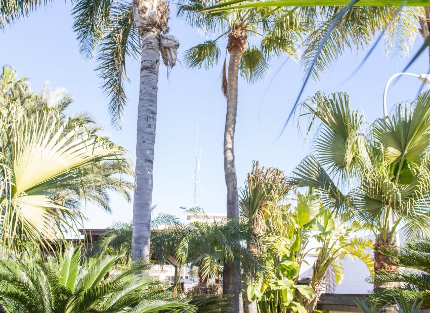 Nieuwbouw Woningen - Vrijstaande woning / Villa -
San Pedro del Pinatar - San Pedro Del Pinatar